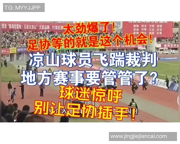 足球球星因失误摔入观众席瞬间引发惊呼 视频曝光引发热议